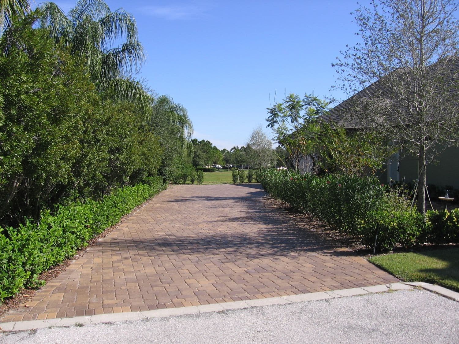 Custom paver design in Orlando